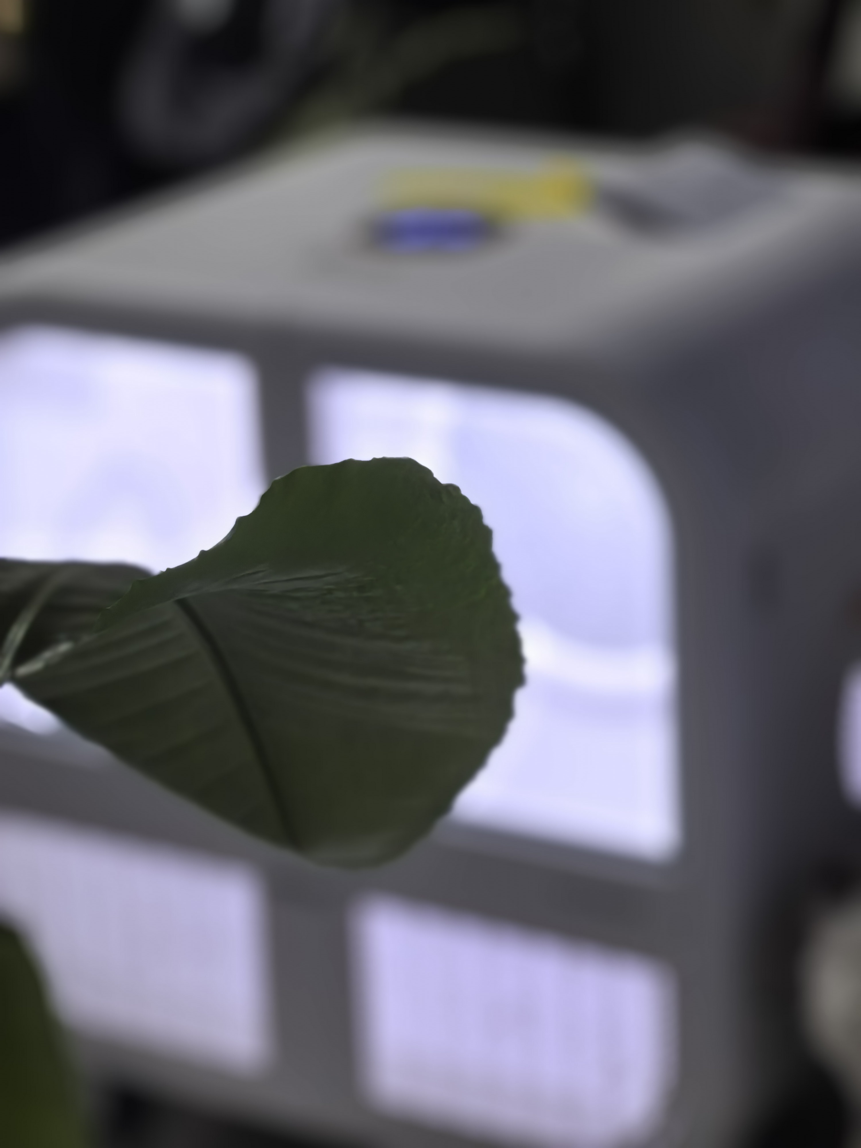 霍曼宠物智能烘干箱PD135 UItra 狗狗全自动吹干箱机猫咪烘干机低噪 实拍图