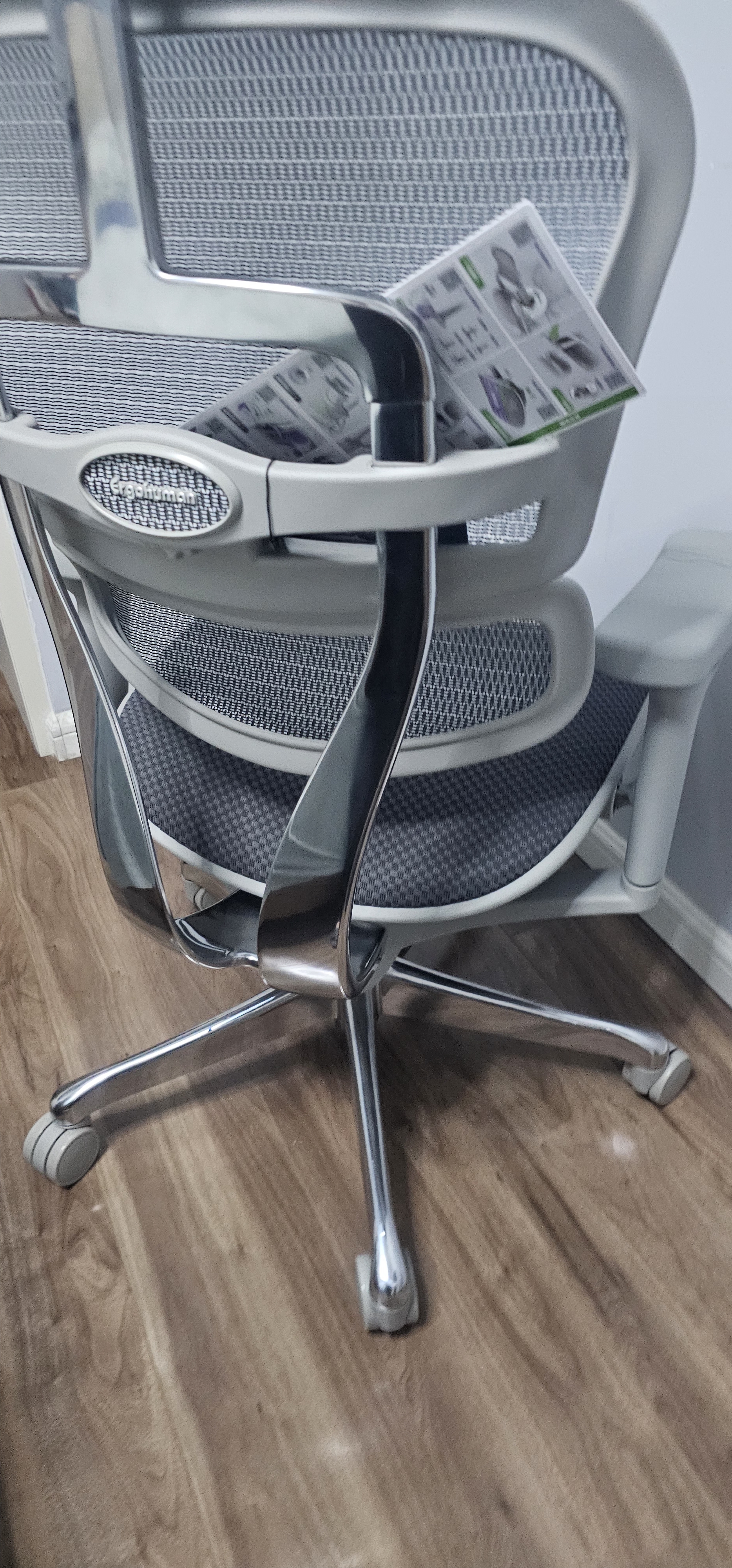 Ergonor保友金豪b雄鹰/悦动 人体工学椅护腰办公椅电脑椅 银白(云感坐垫) 实拍图