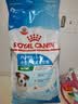 皇家狗粮 幼犬狗粮 宠物 小型犬 MIJ31 全价犬粮 2-10月 2KG 实拍图