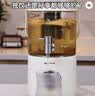 奥克斯（AUX）养生壶花茶桶 水龙头烧水壶煮茶器煮茶壶调奶冲奶母婴恒温电热水壶 2.5L大容量AZX-196 实拍图