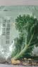 北大荒羽衣甘蓝奇亚籽豆浆粉154g7条高膳食纤维果蔬营养早餐冲饮代餐粉 实拍图