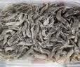 海宴农野生小河虾500g 当季新虾 活虾速冻 中秋礼盒 源头直发 实拍图