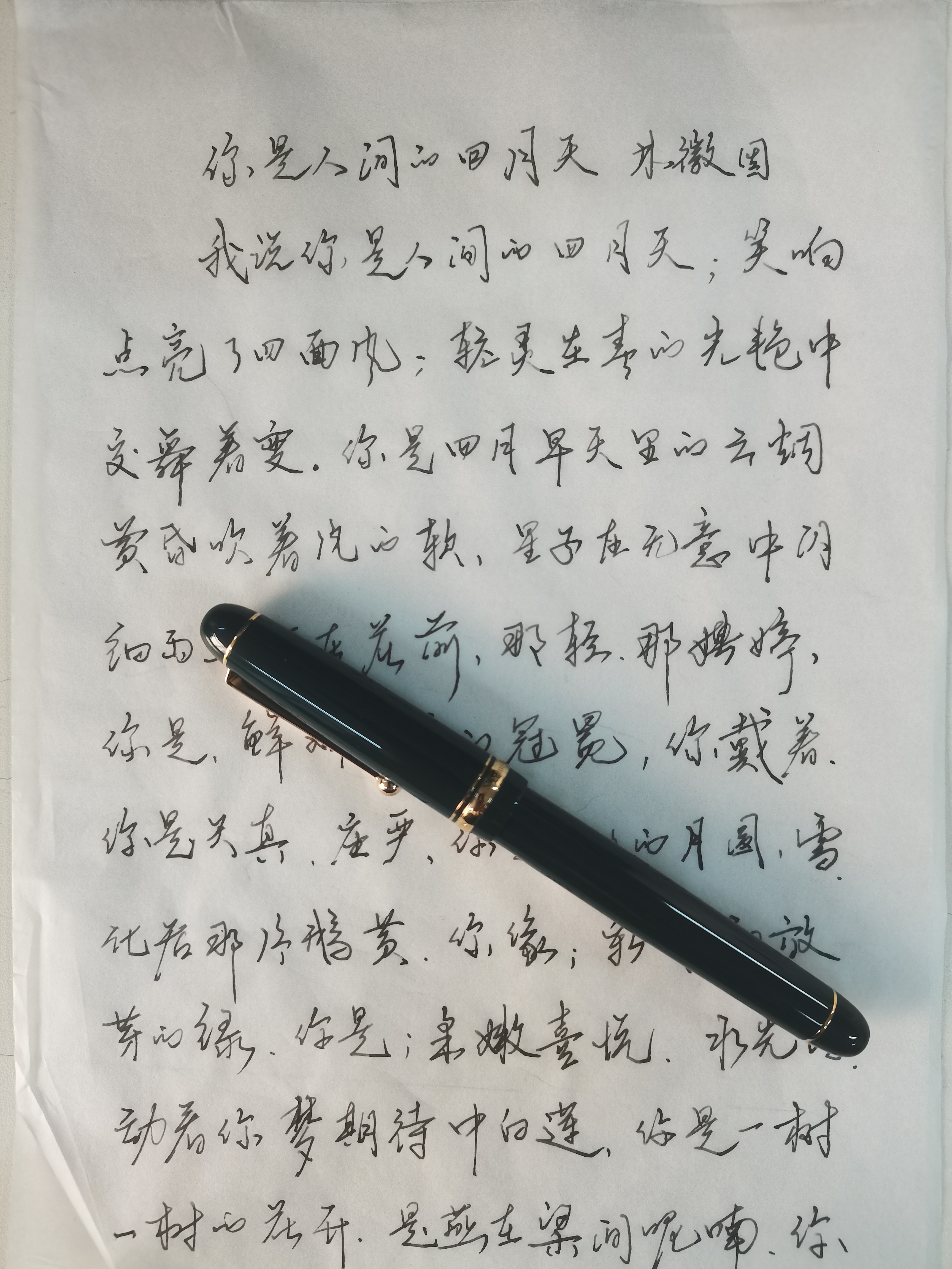PILOT百乐【生日礼物】贵客CUSTOM74钢笔14K金尖成人练字商务办公送礼墨水礼盒套装 【深绿色】 M尖/约0.7mm 实拍图