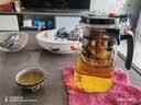 飘逸壶泡茶壶耐热高温玻璃沏茶过滤内胆冲茶器家用茶具套装 飘逸杯500mL1个 实拍图