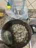 【净化吐沙】鲜活小花蛤500g （70-90粒/500g) 实拍图