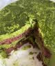 鲜京采抹茶生巧乳酪大饼4寸250g 浓郁抹茶零食蛋糕下午茶 实拍图