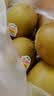 佳沛（zespri）新西兰金奇异果18粒优选果103-124g猕猴桃中秋节礼品送水果礼盒 实拍图