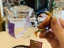 禾器高档茶壶高硼硅玻璃茶具煮茶壶泡茶壶煮茶养生壶烧水壶玻璃茶壶 实拍图