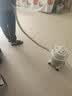 德尔玛（Deerma）【返50元E卡到手84元】TJ700S 桶式吸尘器 开荒装修院子吹灰 家用商用 1200W大功率 3用吸头 实拍图
