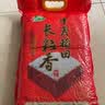十月稻田 长粒香大米 10斤（东北大米 香米 5kg/公斤） 实拍图