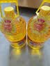 鲁花 食用油 物理压榨 葵花仁油6.18L  实拍图