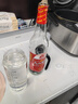 九江双蒸豉香型白酒 双蒸系列佳品经典 29.5度610ml口粮酒广东米酒自饮 实拍图