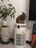 美的家用宠物空气净化器 吸猫毛除过敏源猫猫搭子猫毛净化器杀菌消毒除猫狗异味 卫健委备案 小怪兽PET500【宠物专享】 实拍图