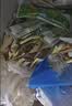 蒙牛随变经典香草口味+绿色心情绿莎莎 20支/1450g 冰淇淋 实拍图
