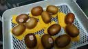 佳沛（zespri）新西兰金奇异果12粒特大果124-146g猕猴桃中秋节礼品送水果礼盒 实拍图