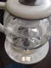 小熊（Bear）煮茶壶喷淋式煮茶器 小型一人蒸茶壶养生壶 迷你养生烧水壶 1升 ZCQ-H10D1 实拍图