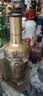 洋河高线光瓶酒 金洋河 52度 500ml 单瓶装 绵柔浓香型白酒送礼佳品 实拍图