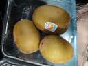 佳沛（zespri）新西兰金奇异果10粒巨大果146-175g猕猴桃中秋节礼品送水果礼盒 实拍图