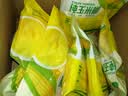 捷氏纯玉米糊400g低脂肪玉米羹无蔗糖玉米粉粗粮营养早代餐冲饮玉米汁 实拍图
