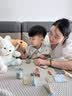 菲加尼儿童实木小医生玩具套装过家家听诊器宝宝女生男孩子生日礼物 实拍图