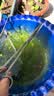 海斯迪克 HKCL-106 加厚水族馆工具平沙器不锈钢水草镊剪刀水草夹镜面镊子直/弯镊子 25cm镜面弯剪（剪刀） 实拍图