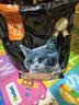 亿迪 冻干猫粮幼猫成猫10斤全价布偶蓝猫英短成年全阶段 实拍图