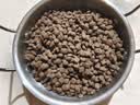 网易严选全价猫粮4.0 成幼猫三文鱼亮毛护肠胃深海鱼虾味10kg【宠物金选】 实拍图