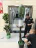 叹为观止大型植物发财树各种大颗盆栽开业乔迁客厅办公室内好养大型花卉 辫子发财树【1.7-1.8米】 含盆 实拍图