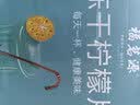福茗源花果茶 冻干柠檬片  特级品质泡水蜂蜜VC柠檬茶大片独立包装100g 实拍图