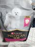 冠能狗粮小型犬成犬狗粮2.5kg 挑食美毛亮眼 全价狗粮  实拍图