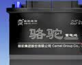 骆驼（CAMEL）【骆驼蓄电池官方】12V免维护汽车电瓶蓄电池 免费安装以旧换新 L2400 大众POLO捷达速腾朗逸迈腾宝来途观 实拍图