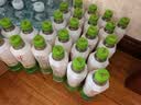 if【肖战推荐】100%天然椰子水泰国原装进口饮料350ml*24瓶整箱装 实拍图