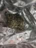 竹叶青品味牌峨眉高山绿茶一级100g袋装 茶叶自己喝18005竹叶青茶业出品 实拍图