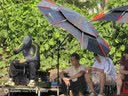 川泽天青烟雨电子夜光漂咬钩变色0.55mm极细硬尾鱼漂高灵敏浮漂ER03 实拍图