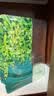 珀莱雅小球藻面膜补水保湿海藻补水玻尿酸面膜教师节礼物教师节礼物 实拍图