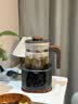 格丽思（GREENIS）煮茶壶 喷淋式煮茶器纯钛养生壶烧水壶泡茶壶一体机全自动保温壶蒸茶壶新款高档大气礼盒 深空灰礼盒装（纯钛壶底-单直筒茶漏） 实拍图