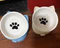憨憨乐园猫碗陶瓷猫粮双碗斜口狗碗狗盆狗粮宠物幼猫咪吃饭食盆喝水喂食 实拍图