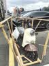 控可程【限量国补】电动车NFC小龟王电瓶车女士小型带娃48V60V摩托车 【升级款】NFC刷卡+加大电机-可可棕 72V26AH全新石墨烯超能电池-续航约100公里 实拍图