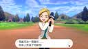 任天堂（Nintendo） Switch游戏卡带全新原装实体卡Switch2游戏软件海外通用版本 精灵宝可梦剑盾 盾 中文-NS1 实拍图