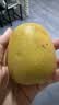佳沛（zespri）新西兰阳光金奇异果6粒装88-103g猕猴桃水果中秋节礼品送水果礼盒 实拍图