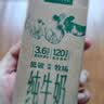 伊利金典纯牛奶 250ml*12盒 3.6g乳蛋白原生高钙中秋礼品礼盒装 5月 实拍图