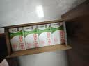 蒙牛全脂纯牛奶250ml*16盒 牛奶礼盒 电商定制送礼礼盒 实拍图