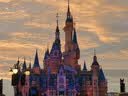 迪士尼（Disney）疯狂动物城尼克狐狸玩偶毛绒玩具娃娃教师节礼物送老师生日礼物女 实拍图
