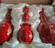 郎酒红花郎10双支礼盒+老郎酒1956 单瓶装 酱香型白酒 中秋礼品 实拍图