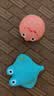 Hape(德国) 儿童洗澡沐浴玩具 抚触按摩游泳玩具海洋伙伴戏水乐 E0226 实拍图