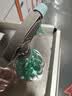 喷壶浇花浇水喷雾器气压式喷水壶家用园艺养花500ml 南瓜喷壶透粉+透蓝 实拍图