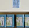 日照绿茶2026新茶浓香型板栗香绿色认证初寻礼盒250g山东特产礼品 实拍图