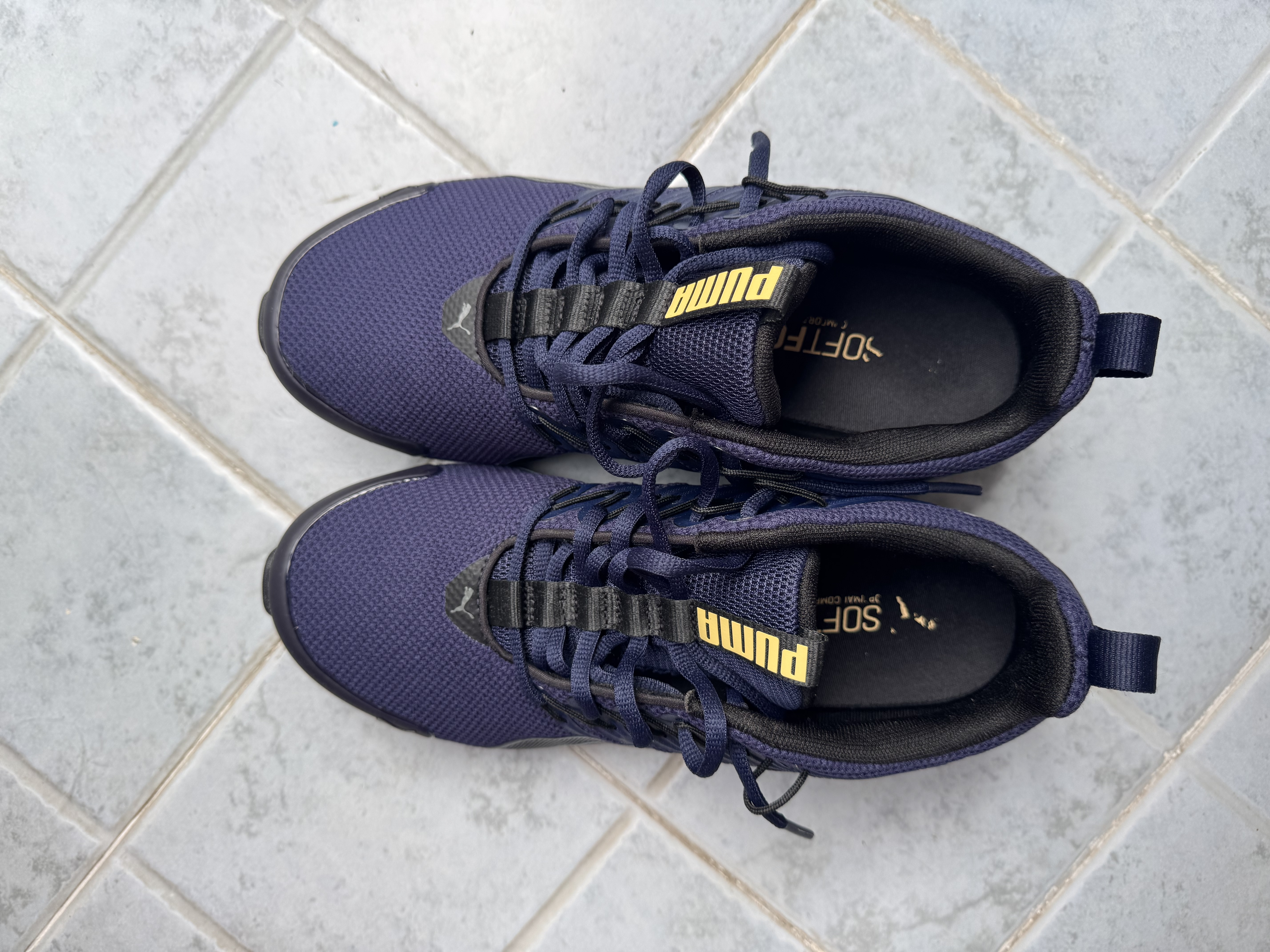 彪马（PUMA）男鞋 新款复古运动鞋缓震回弹健身登山慢跑鞋休闲竞速鞋子跑步鞋 【cell缓震回弹科技】Voltaic Evo/主推款 39 250/6 实拍图