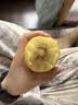 佳沛（zespri）新西兰阳光金奇异果10粒巨大果单果146-175g 猕猴桃水果礼盒 实拍图