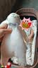 澳贝（auby）婴幼儿玩具抗菌小兔安抚巾宝宝哄睡神器阿贝贝玩偶新生儿满月礼物 实拍图